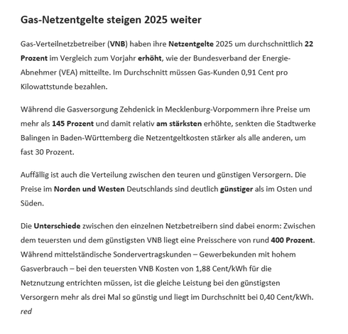 Screenshot aus dem Background Tagesspiegel Newsletter mit einem Teaser mit der Überschrift: Gas-Netzentgelte steigen 2025 weiter.