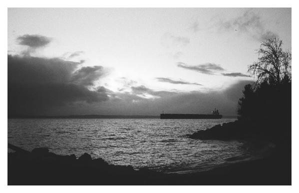 View of Elliott Bay from a beach, with a container ship in the background.