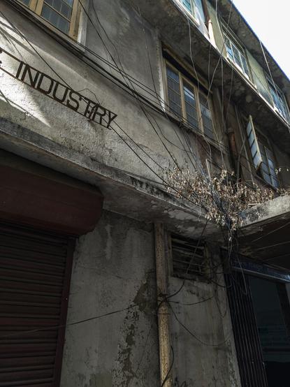 A photo of a government building from the outside looking like it is in a dilapidated state. There is a section of a sign visible in metal which reads "INDUSTRY". There is a rolling shutter on the bottom left of the image. On the bottom right there is another type of horizontal scissor rolling shutter. Above it, there is an awning made of cement and at one side of the awning, there are multiple wires intersecting at a place where some shrubbery has grown into the cement. Above that, there are multiple wooden windows in a beige colour.