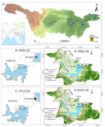 Figure 1 in Zeng et al. (2025): "Location of the study area in mainland China (A) with insets showing the changes in the water surface area of Dongting Lake and later isolation of Donghu Lake (B and C) and the land use and cover change in the Dongting Lake catchment (D and E). Maps B and C are sourced from Yu et al. (2020)."