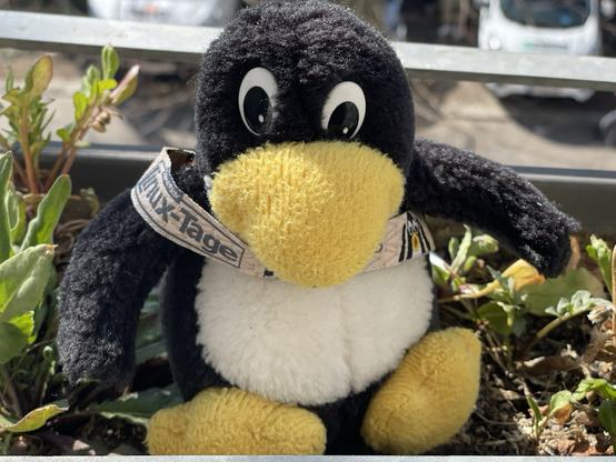 Stofftier-Pinguin Tux sitzt im Grünen. Als Schärpe trägt er das Bändchen der Chemnitzer Linuxtage 2025.