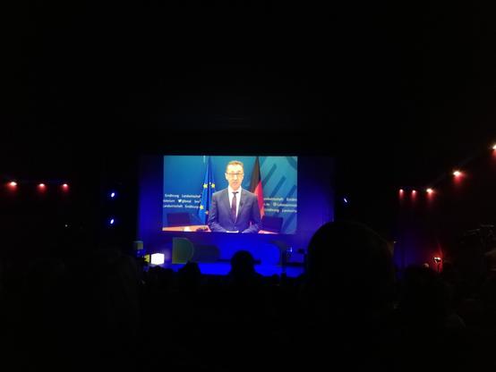 Dunkler Kino-Saal. Auf der Leinwand spricht Cem Özdemir vor einer Deutschland- und einer EU-Flagge.