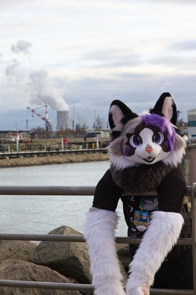 Fursuiter Tashi leaning over a railing. He is a cat with white fur, but purple fur in the face. In the background is the industrial port of Rostock and a coal power plant.