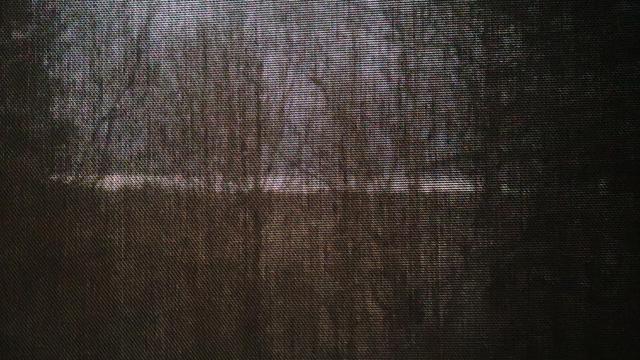 view of a forest and horizon through an almost opaque dark grey blind