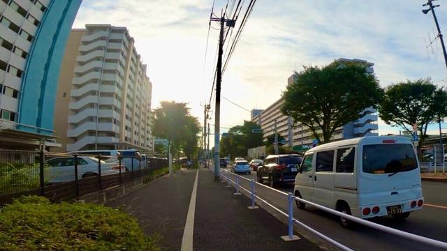 【散歩】東京都小平市小川東町-東村山市萩山町を歩く【北府中駅からなんとなく北上編 part8】