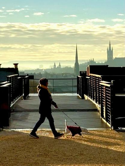 A person walking a dog along a canal towpath. In the distance are the spires and steeples of a number of Glasgow buildings.