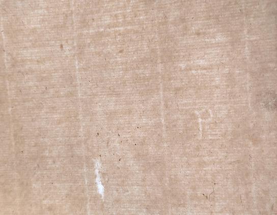 Un filigrane de vieux papier. On devine la lettre P