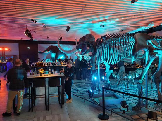 Dinner im Senkenbergmuseum