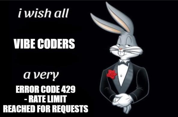 i wish all vibe coders a very error code 429 - rate limit reached for requests