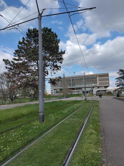 #Printemps sur le campus de #villeurbanne la #bu