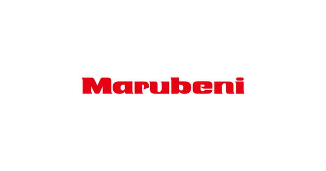 Joint Study for the Establishment of a Large-Scale Ammonia Supply Chain Based in the Tomakomai Area of Hokkaido Selected for Government Subsidy