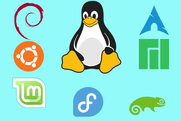 Maskotka Linuxa pingwin Tux w otoczeniu najpopularniejszych dystrybucji: Debian, Ubuntu, Linux Mint, Arch, Manjaro, Fedora, OpenSUSE.