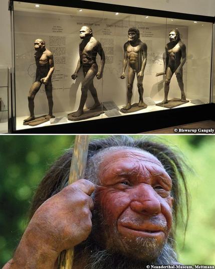 Researchers uncover lost human lineage that shaped our evolution

A revolutionary study in genetics has upended the long-standing belief that modern humans originated from a single continuous lineage. Instead, research conducted by a team at the University of Cambridge has now produced robust evidence suggesting that Homo sapiens is the result of a mixture between two ancient ancestral populations that diverged approximately 1.5 million years ago and reconnected approximately 300,000 years ago...
