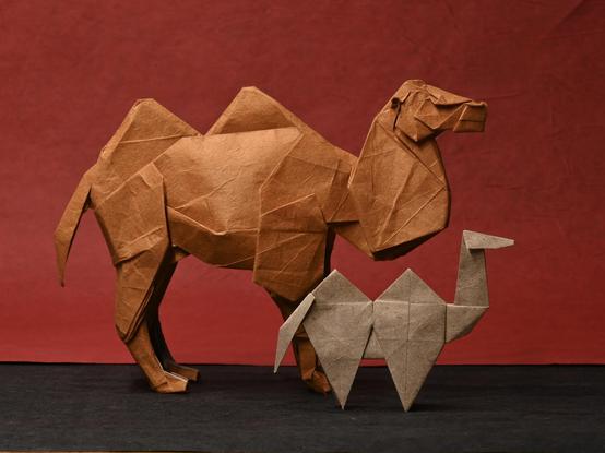 Two origami models of bactrian camels (with two humps): a bigger one that is realistically shaped and a smaller one in abstract, geometric form.