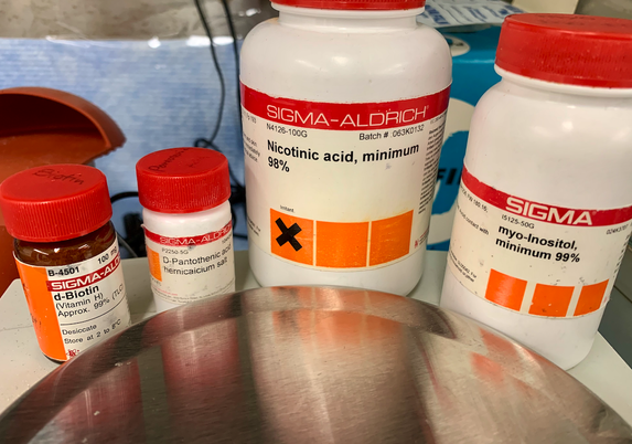 Biotin, pantothenic acid, nicotinic acid, and inositol near a scale.