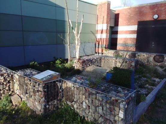 Another view of one of the newly 'weeded' North Marsh Habitats Project pollinator gardens tucked away at the rear the pavilion in the low sunlight