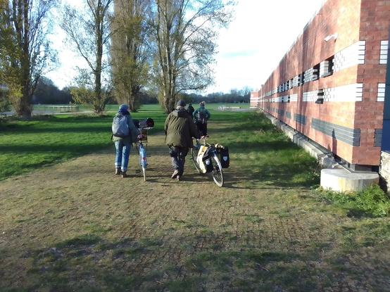 #ReNatureLdn volunteers setting off across the marshes for the pub at the end of the day, the (allegedly hybrid) black poplars to the left casting long shadows over the grass and onto the pavilion wall. Volunteers on foot, some pushing loaded up bicycles.