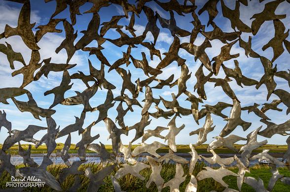 The 'Flock Sphere' sculpture by Rob Mulholland is part of the Amble Sculpture Trail in Northumberland.
Described by the artist as an 'immersive' experience, the spherical installation has an opening to allow you to climb inside and experience a view of the coastal landscape surrounded by gulls!
Quite impressive!
