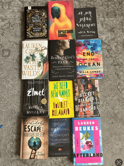 Twelve books, laid out in a 3x4 grid. Authors and titles: Melissa Albert, The Hazel Wood; Ezra Claytan Daniels, Upgrade Soul; Lauren Groff, The Vaster Wilds; John Wood Sweet, The Sewing Girl’s Tale; Maja Lunde, The End of the Ocean; Fiona Mozley, Elmet; NoViolet Bulawayo, We Need New Names; Paterson Joseph, The Secret Diaries of Charles Ignatius Sancho; H. G. Parry, The Unlikely Escape of Uriah Heep; Lily Brooks Dawson, Good Morning Midnight; Lauren Beukes, Afterland.