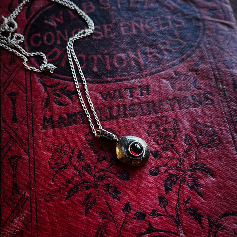 A silver pendant with a single hoop lies on a red book, the pendant looks like rough stone with pits and scratches and it is set with a fiery red garnet. The chain is bright and polished. On the cover of the book you can see outlines of flowers and the text "..with many illustrations".