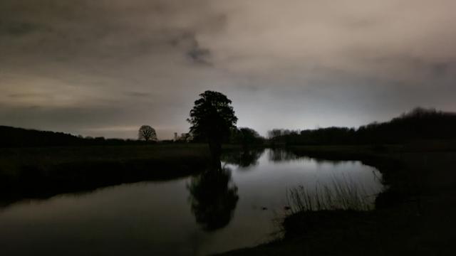 A tree on a bend in the river and its reflection, at night.