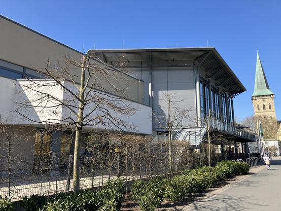 Drei Bäume vor der Stadthalle in Osnabrück gekappt