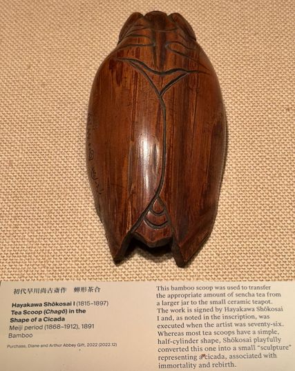 photo of the cicada tea scoop and its gallery label on display at museum “初代早川尚古 作 蝉形茶合 Hayakawa Shökosai I (1815-1897) Tea Scoop (Chagõ) in the Shape of a Cicada Meiji period (1868-1912), 1891 Bamboo Purchase, Diane and Arthur Abbey Gift, 2022 (2022.12) This bamboo scoop was used to transfer the appropriate amount of sencha tea from a larger jar to the small ceramic teapot. The work is signed by Hayakawa Shökosai I and, as noted in the inscription, was executed when the artist was seventy-six. Whereas most tea scoops have a simple, half-cylinder shape, Shokosai playfully converted this one into a small "sculpture" representing a cicada, associated with immortality and rebirth.”