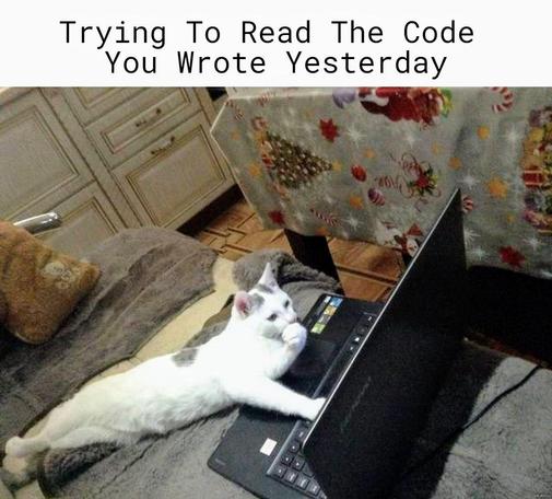 "Trying to read the code you wrote yesterday"

Cat is lying on the couch and has a paw under her mouth and is therefore very thoughtful in front of the laptop.
