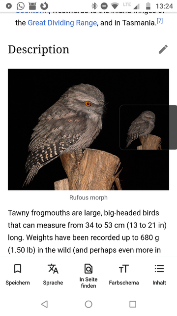 Screenshot aus der Wikipedia app. Es ist ein Foto von einem coolen Vogel zu sehen, das Foto ist klein und halbtransparent ein zweites Mal am rechten Rand festgeklebt.