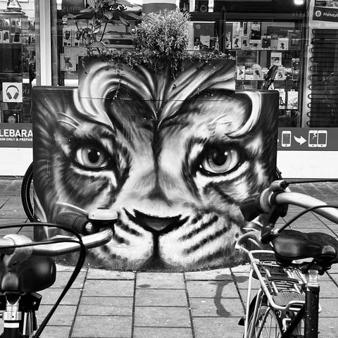 Oosterparkstraat Art Project 2022.