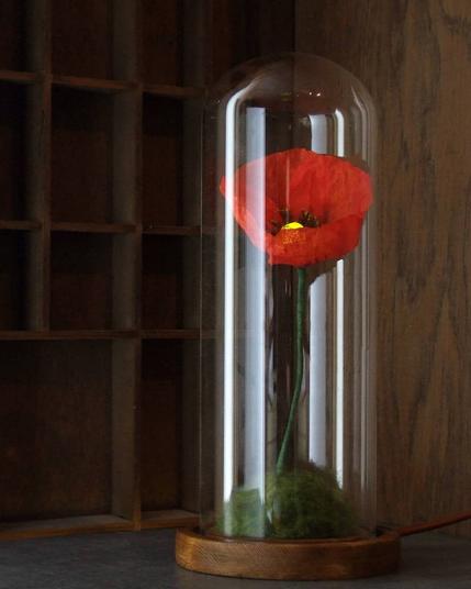 A delicate lamp in the shape of a red poppy flower is encased in a tall glass dome with a wooden base. The poppy's petals are slightly crinkled, resembling real paper-thin petals, and a small warm light glows at its center. The green stem extends down into a base covered in soft moss. A fabric-covered electrical cord extends from the base. The background features a wooden shelf with empty compartments, adding to the warm, natural atmosphere.