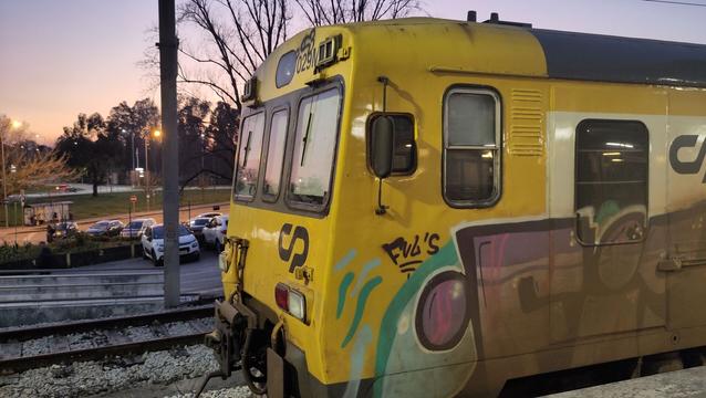 An old, yellow multiple-unit train sprayed with graffiti in the evening.