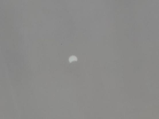 Outline of sun projected on card from a pinhole camera. Shows the sun not round but has a crescent shaped cut out