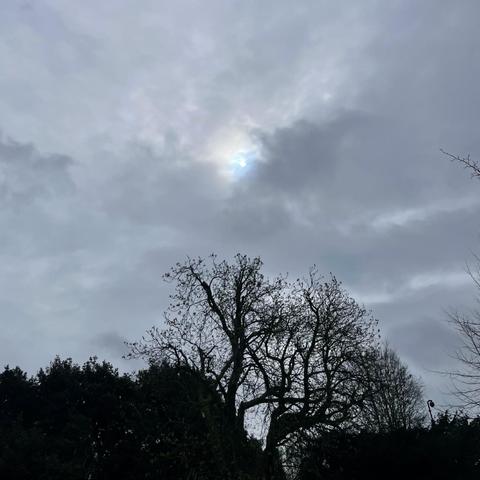 The Sun barely struggling through heavy grey clouds over
the dark silhouettes of still leafless trees and hedges.