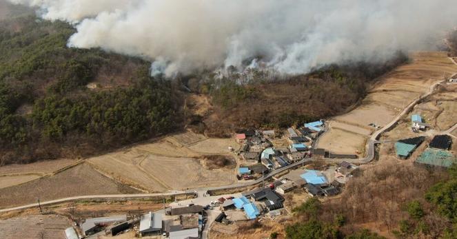 韓国史上最悪の山火事、7日目で鎮圧状態に | ロイター