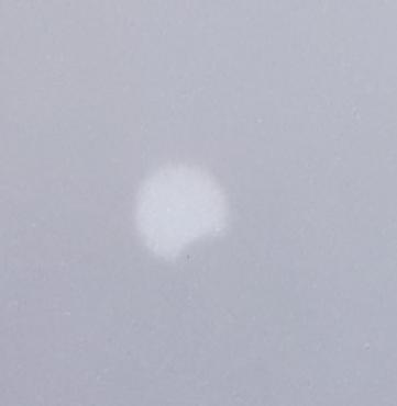 Soleil partiellement éclipsé