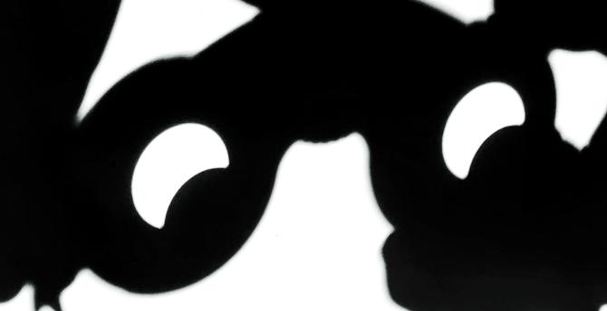 Thru binoculars, two images of the partial eclipse looks like side eye