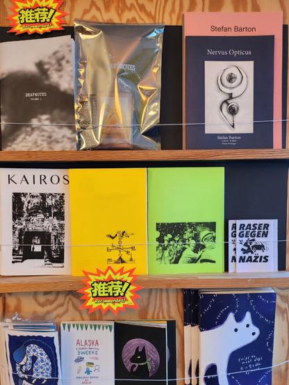 Zines und Minizines im Regal des nachladen.