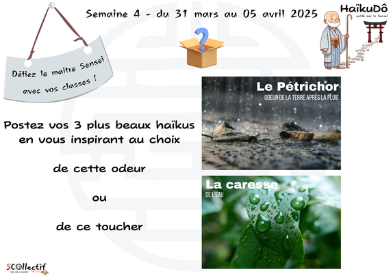 Support de lancement d'écriture poétique HaïkuDô pour la 4e semaine : choisir entre une odeur (le pétrichor) et un touche (la caresse de l'eau)