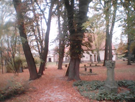 Graveyard in late autumn.