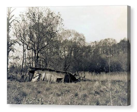 Black and white photograph showing a tumbledown old shed collapsed upon a patch of rural wasteland.  The image is shown as a box canvas print.