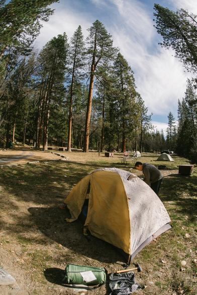 "Rather than love, than money, than fame, give me truth."
~ Henry David Thoreau
#yosemite #campvibes #camping #photography #outdoors #truth #quote #nature #yosemitenationalpark #nationalpark #california #quotes #sonyalpha #sonya7r
