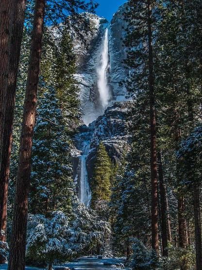 Portrait Of Yosemite Falls

This is an image of Yosemite Falls captured on an early winter morning from the trailhead to the lower falls.
The trail up to the falls as few people travel to Yosemite during the winter compared to the summer. 
There is some fresh snow on the ground from a light dusting overnight.
The towering falls are loosely framed with some towering Douglass Fir trees.
The falls sit prominently near the center of the image. The Upper Falls at 2425 feet drops to the hidden middle falls section and then comes back into the frame at the top of the Lower Falls. At the top of the falls you can see ice and snow that forms overnight during the colder hours.