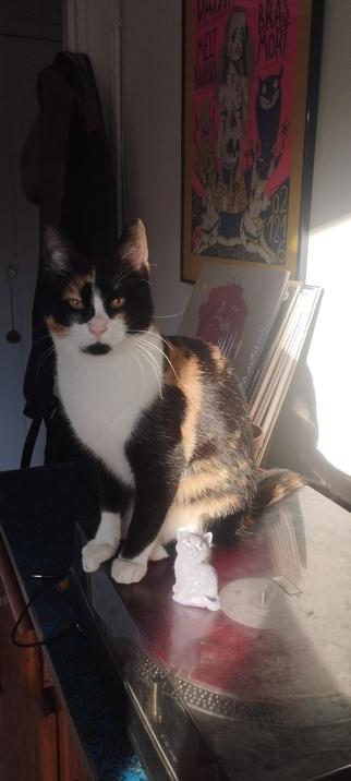 Regard caméra d'une chatte qui pose à côté d'une bougie en forme de chat, dont des mèches sortent des yeux...