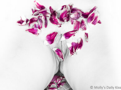 looking down on molly's mound which is covered in purple tulip petals. The rest of the image is in high contrast black and white and we can see the lines of her pussy and some short pubic hair for post called Sublime and tender
