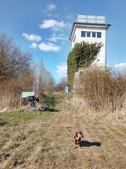 Wir haben den Wachturm am Ende des Fährdamms erreicht. Effie steht vor dem Turm der DDR-Grenztruppen. Der Tretroller lehnt an einer Hinweistafel. Der Turm selbst liegt hinter Gebüsch und ist halb mit Efeu bewachsen.
