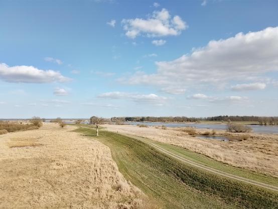 Blick vom Wachturm auf den alten Deich und die Elbe dahinter. Auf dem Deich fährt gerade ein Fahrrad. Die Landschaft ist vergilbt und am Fuße des Deiches steht ein toter Baum. Der Himmel ist leicht bewölkt.