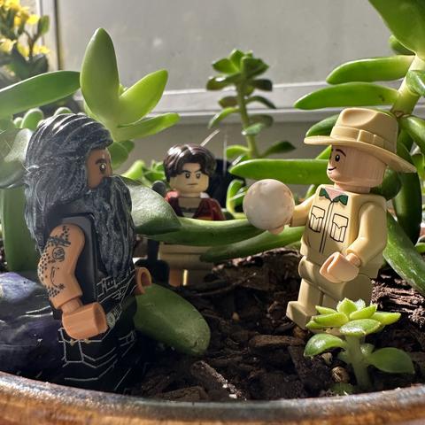 Lego Ed in his leathers with a long beard across from Lego Stede in a khaki outfit and hat, holding a petrified orange. Lego Lucius is in the background looking skeptical. They are surrounded by plants.