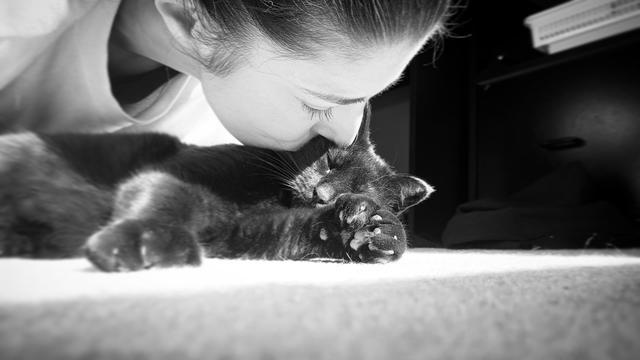 Black polydactyl cat lays on the bedroom carpet in a sunbeam, eyes closed. Her human (me) crouches over her, kissing her warm sunny cheek.