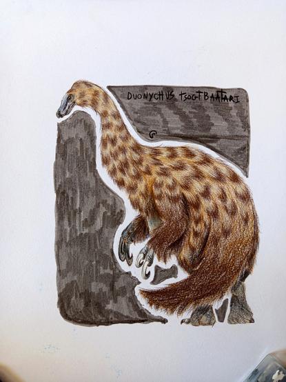 Duonychus Tsogtbaatari